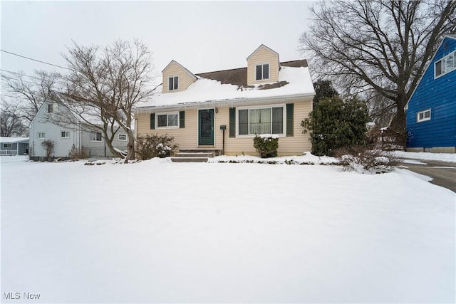 view of cape cod home