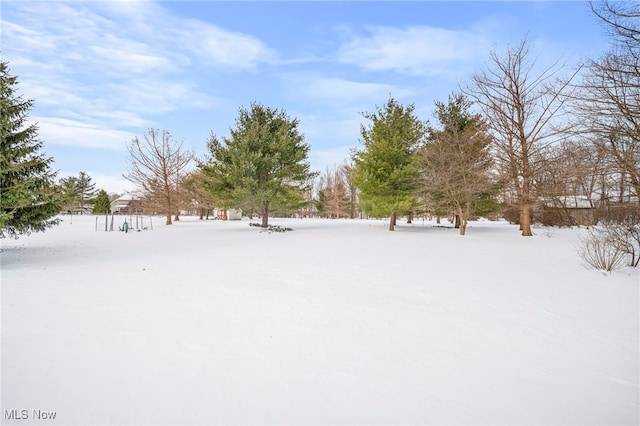 view of yard layered in snow