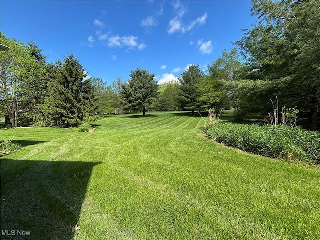 11579 Olde Stone Ct, Concord, OH 44077 - view of grassy yard