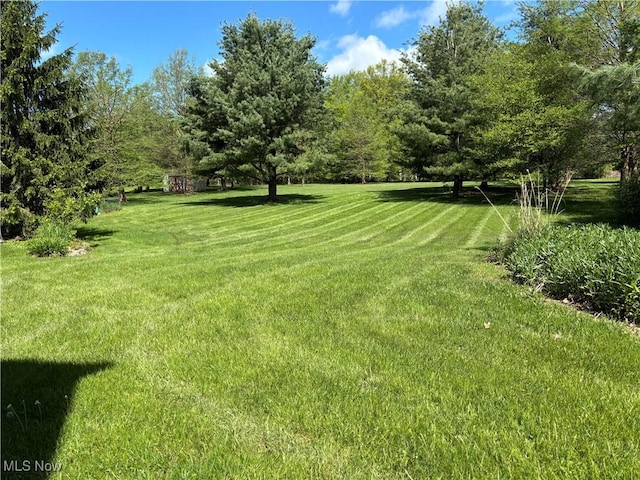 11579 Olde Stone Ct, Concord, OH 44077 - view of green lawn