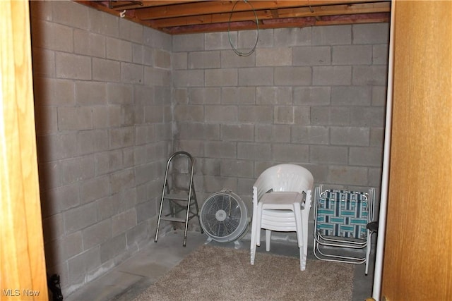 view of basement