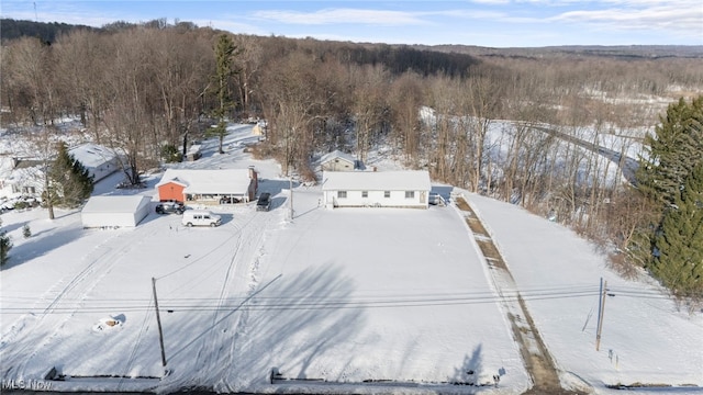 view of snowy aerial view