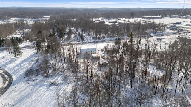 view of snowy aerial view