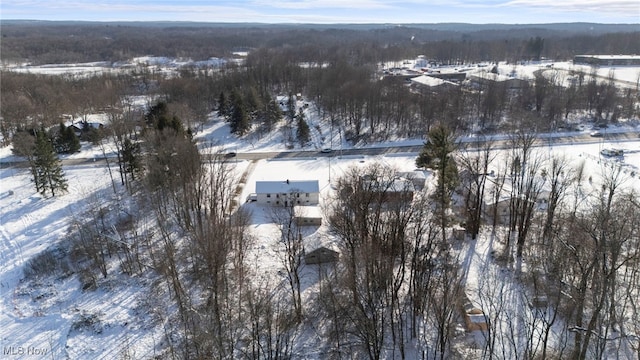 view of snowy aerial view