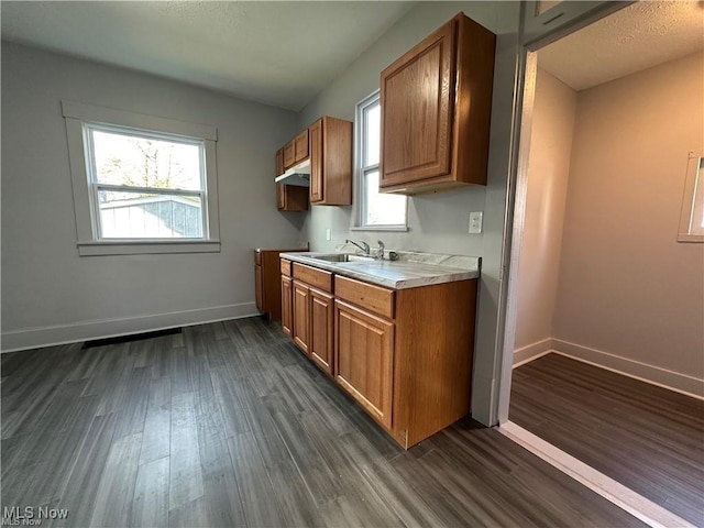 kitchen with dark hardwood / wood-style flooring, plenty of natural light, and sink