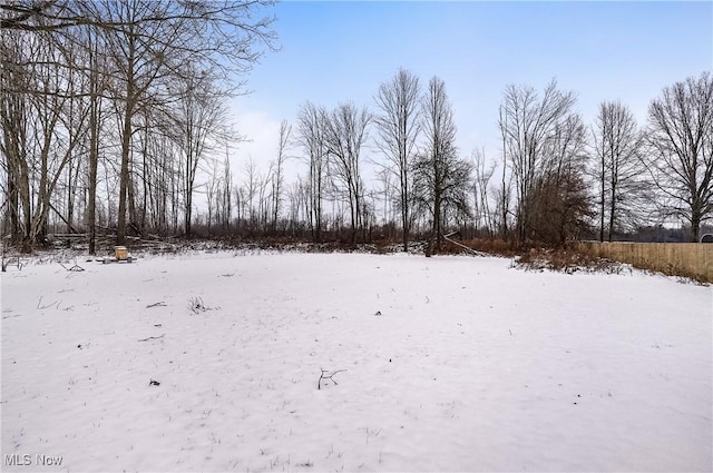 view of snowy yard