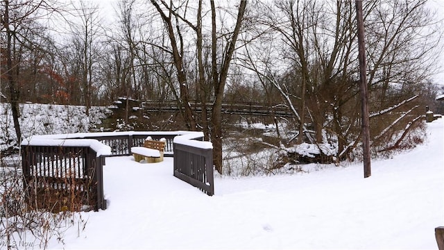 view of yard covered in snow