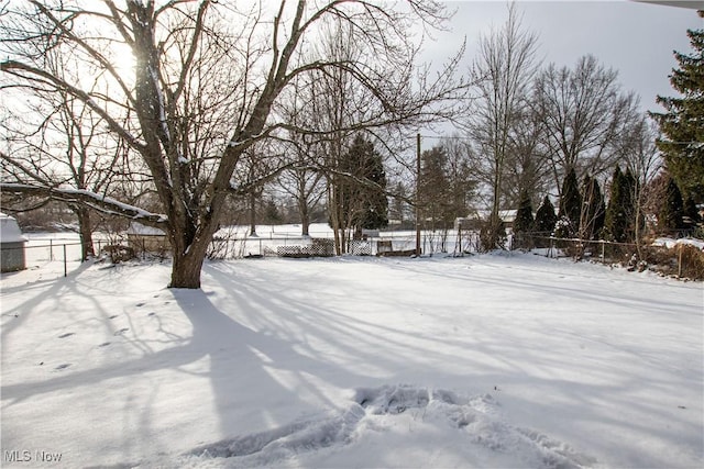 view of yard covered in snow