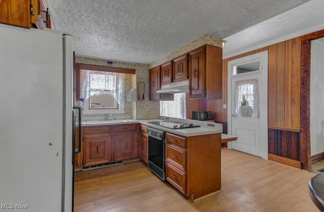 kitchen featuring black appliances, light wood-type flooring, kitchen peninsula, and sink