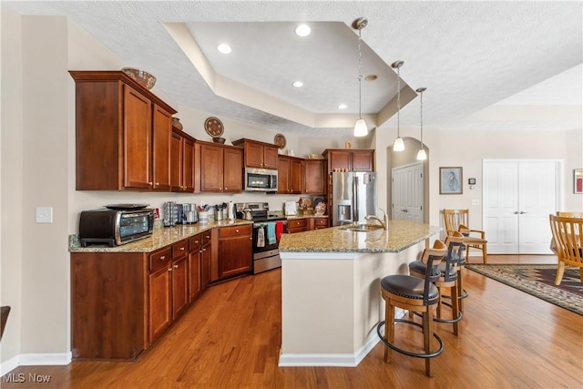 kitchen featuring stainless steel appliances, sink, a raised ceiling, an island with sink, and hanging light fixtures