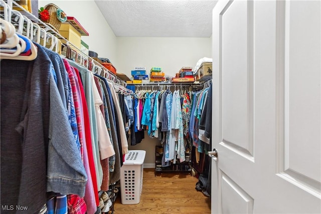 spacious closet with hardwood / wood-style floors