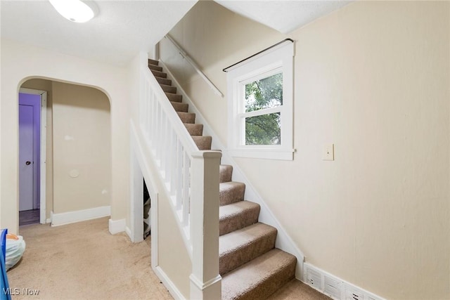 staircase with carpet floors