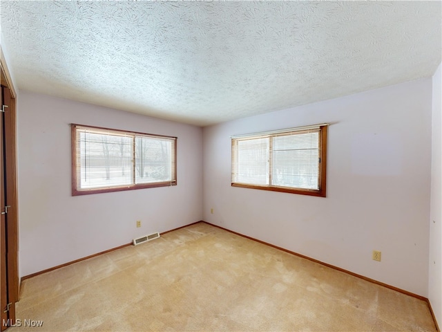 carpeted spare room with a textured ceiling and a wealth of natural light