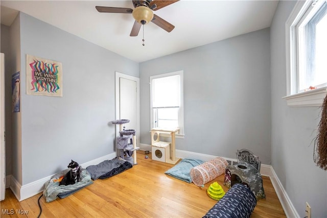 interior space with hardwood / wood-style floors, multiple windows, and ceiling fan