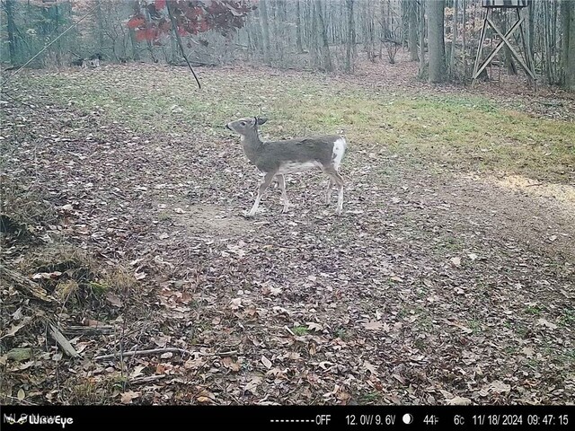 5815 Dog Run Rd, Mineral City, OH 44656