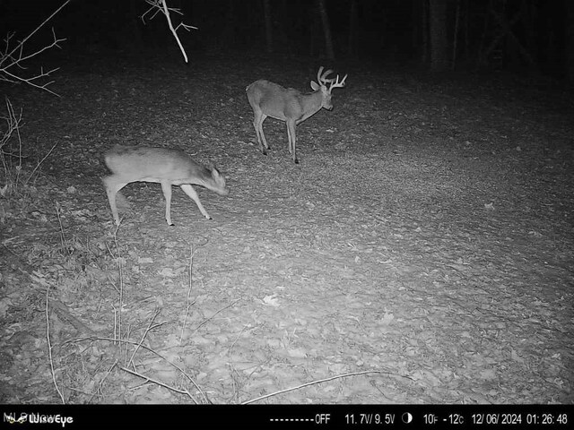 5815 Dog Run Rd, Mineral City, OH 44656