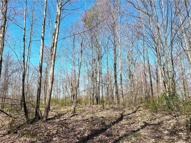 5815 Dog Run Rd, Mineral City, OH 44656