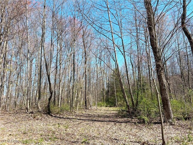 5815 Dog Run Rd, Mineral City, OH 44656