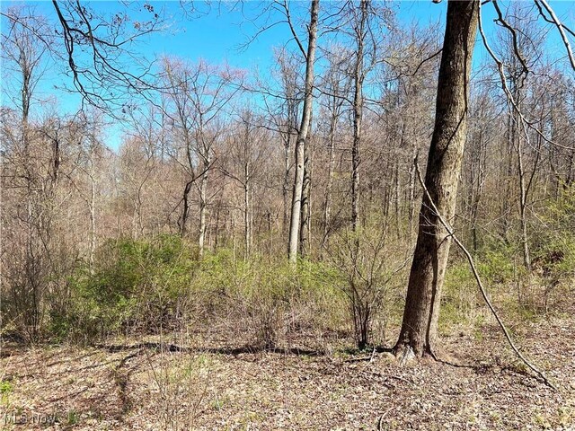 5815 Dog Run Rd, Mineral City, OH 44656