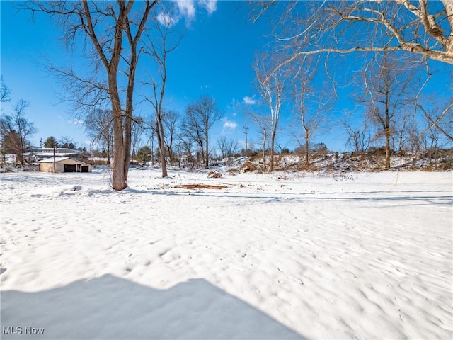 view of snowy yard