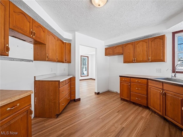 kitchen featuring sink, a textured ceiling, and light hardwood / wood-style floors