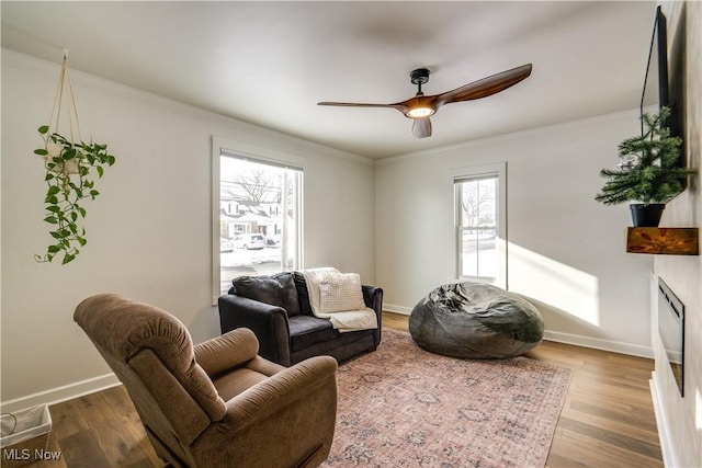 living room featuring hardwood / wood-style flooring, ceiling fan, and crown molding