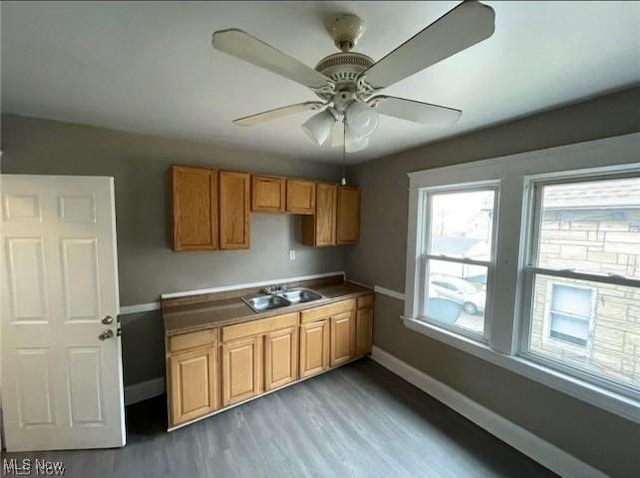 kitchen with dark wood-type flooring, ceiling fan, and sink