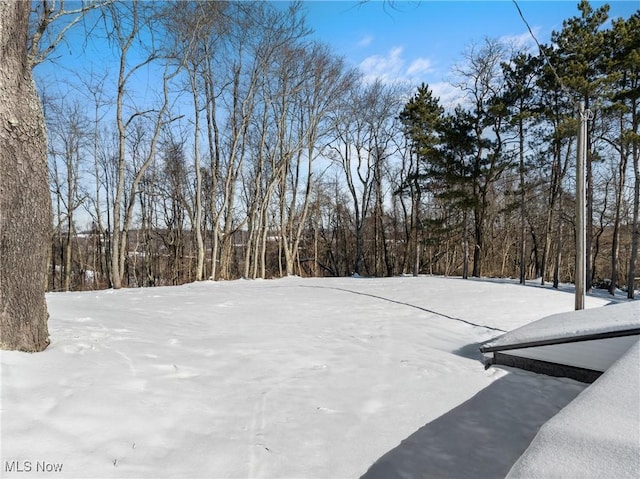 view of yard layered in snow