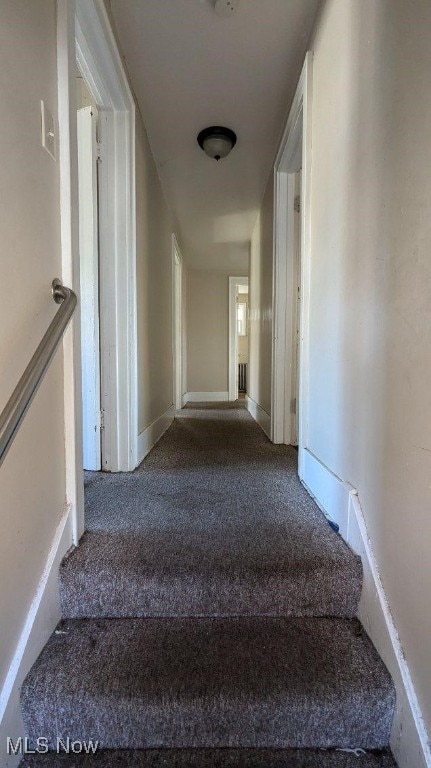 stairs featuring carpet floors