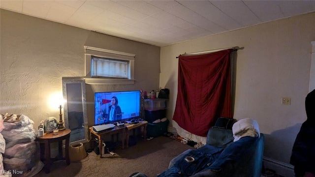 living room with carpet flooring