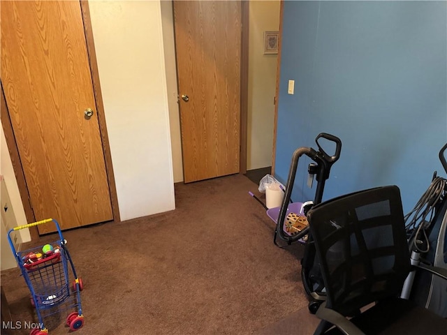 office area featuring carpet flooring