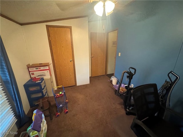 interior space with ornamental molding, a textured ceiling, vaulted ceiling, and carpet