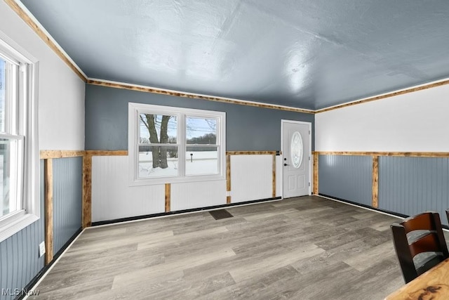 foyer entrance featuring wood-type flooring