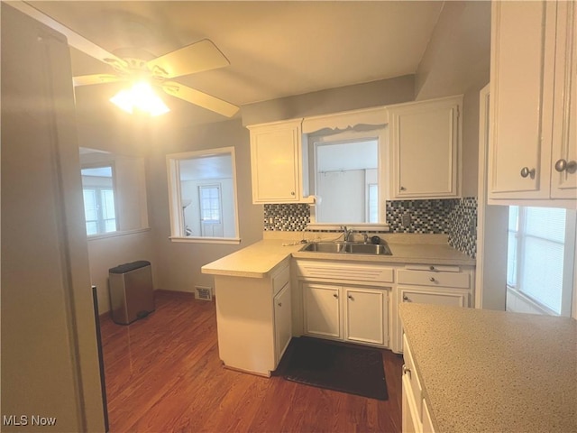 kitchen with white cabinets, wood-type flooring, tasteful backsplash, and sink