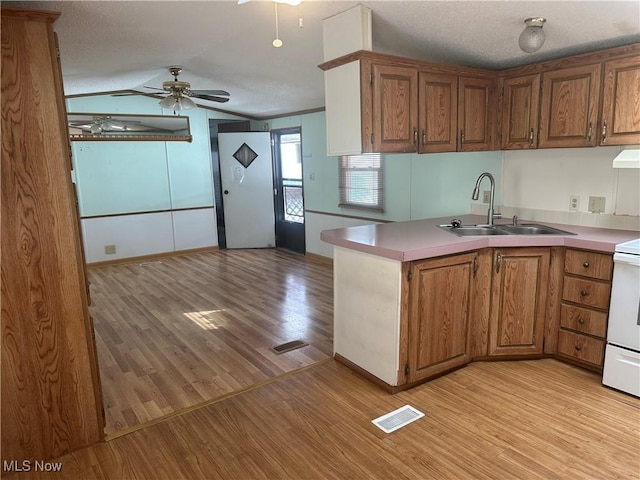 kitchen featuring ceiling fan, light hardwood / wood-style floors, a textured ceiling, and sink