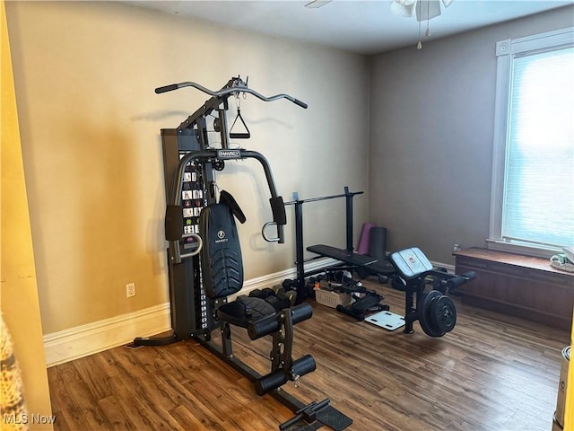 workout area with a healthy amount of sunlight, ceiling fan, and hardwood / wood-style flooring