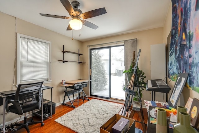 office featuring ceiling fan and hardwood / wood-style flooring