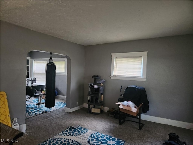 sitting room featuring carpet flooring, a textured ceiling, and plenty of natural light