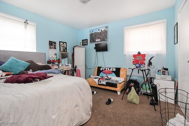 bedroom with carpet floors