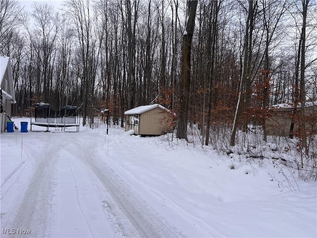 yard layered in snow with a shed