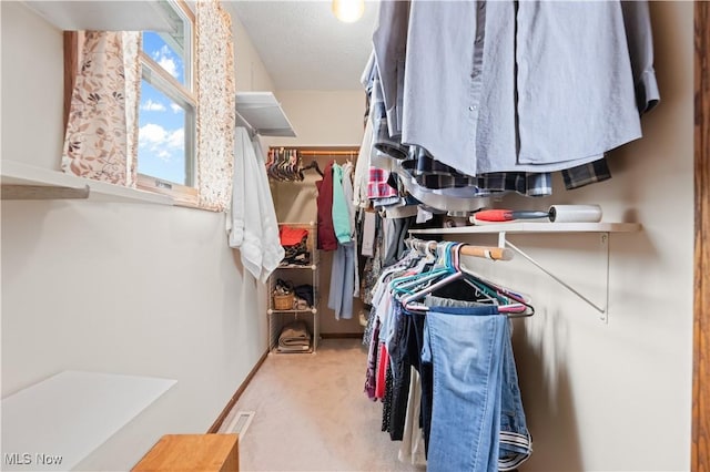 spacious closet with light colored carpet