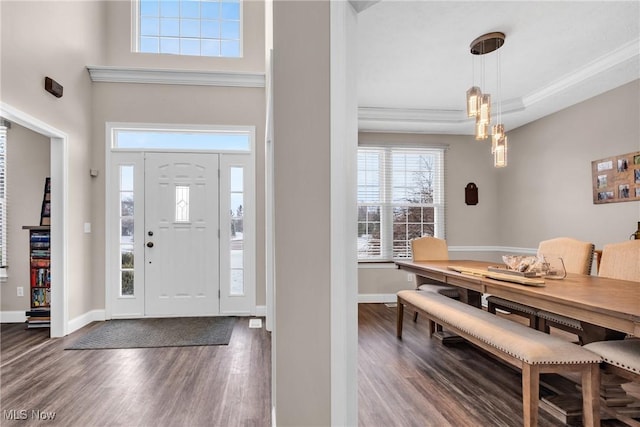 foyer entrance featuring crown molding, a raised ceiling, and dark hardwood / wood-style floors