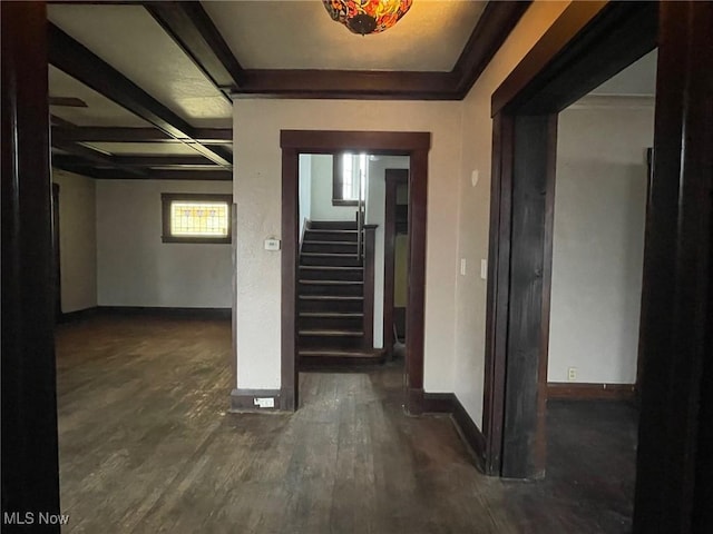 hall featuring dark hardwood / wood-style flooring