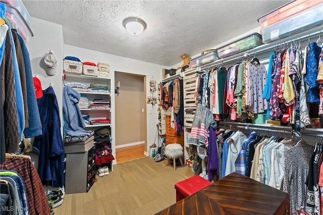 view of spacious closet