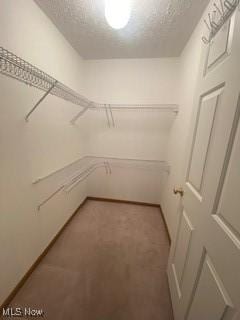 spacious closet with carpet