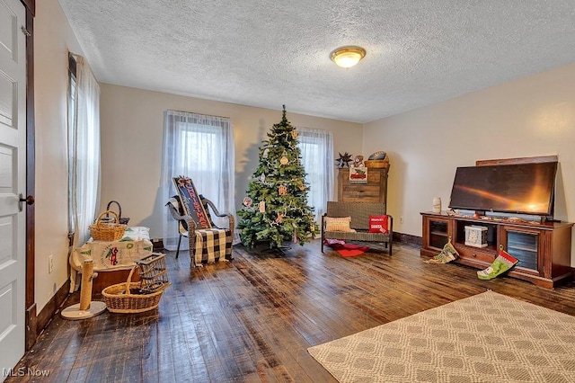 interior space featuring hardwood / wood-style floors and a textured ceiling