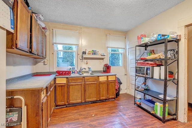 kitchen featuring sink, a healthy amount of sunlight, a textured ceiling, and dark hardwood / wood-style flooring