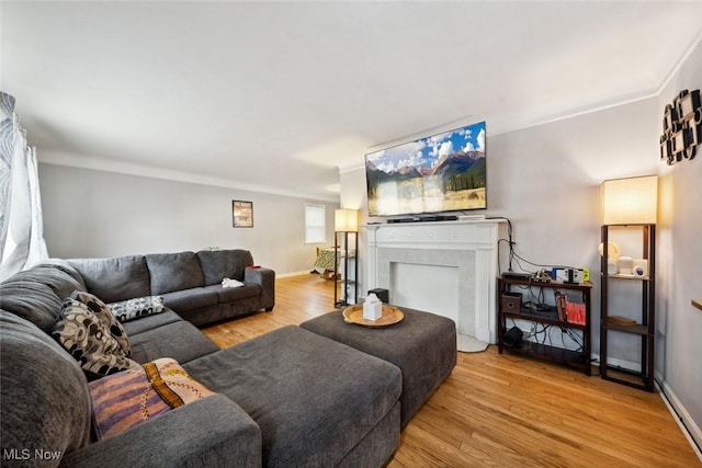 living room featuring light hardwood / wood-style flooring