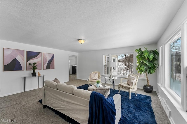 carpeted living room featuring plenty of natural light