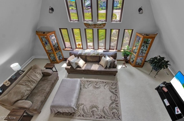 living room featuring a towering ceiling and carpet floors